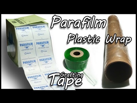 , title : 'Pilih mana; Parafilm, Grafting Tape? Atau pakai Plastic Wrap saja yang murah?'