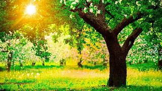 Music therapy 🌿 Relaxing Music for Anxiety Relief & Stop Overthinking