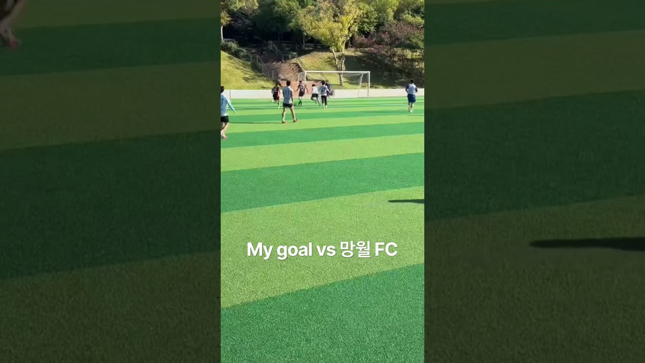 #fyp #viralshorts #football #soccer #축구 #k리그 #k7 #k6 #proplayer #korea #scottish #strike #goal #top