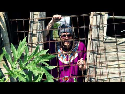 Kött Grá Pje og Nolem - Aheybaró