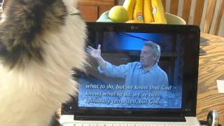 Dr. John C. Maxwell Teaching Mr. Fluffy about Leadership