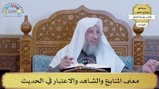 32 - معنى المتابع والشاهد والاعتبار في الحديث - عثمان الخميس