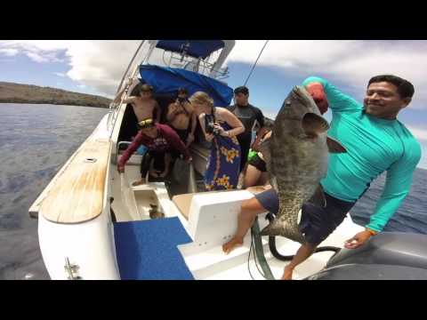 Trailer Volcanic Paradise