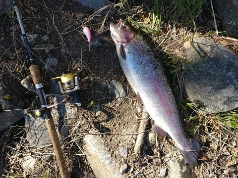 Merikarvianjoki 5/2019 osa 1