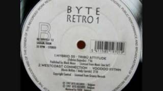 Hybrid 55 - Express Trip (1995+1997)