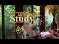 4 HOUR Study With Me Rain Sounds Calm Piano Bgm Pomodoro 50 10 Day343