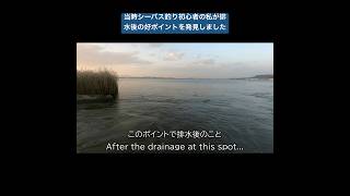 当時シーバス釣り初心者の私が排水後の好ポイントを発見しました
