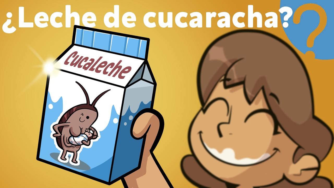 ¿Cuál será el SUPERALIMENTO del futuro que nos salvará de la hambruna?