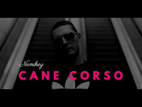Nemikey - Cane Corso  (prod. Devv, skrecze/cuty MHS)