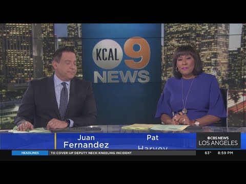 Owner opens up about dog rescue