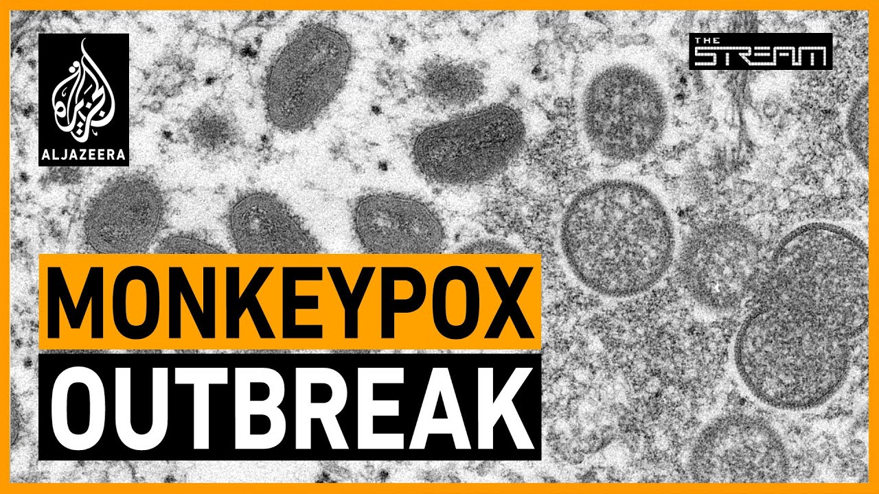 Monkeypox: Is enough being done to stop its global spread?