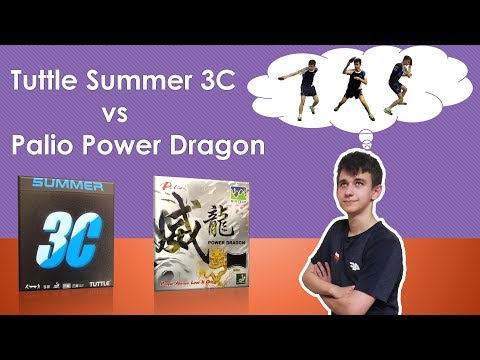 Tuttle Summer 3C vs Palio Power Dragon | análise | #tabletennis