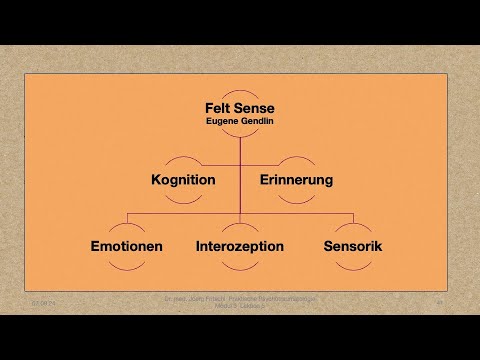 Modul 3 Lektion 5/6: Die Polyvagaltheorie.