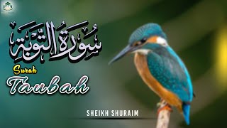 Download lagu Beautiful Quran Recitation by Sheikh Shuraim | Surah Taubah | Peaceful and Heart Touching recitaion mp3 Download lagu Beautiful Quran Recitation by Sheikh Shuraim | Surah Taubah | Peaceful and Heart Touching recitaion mp3