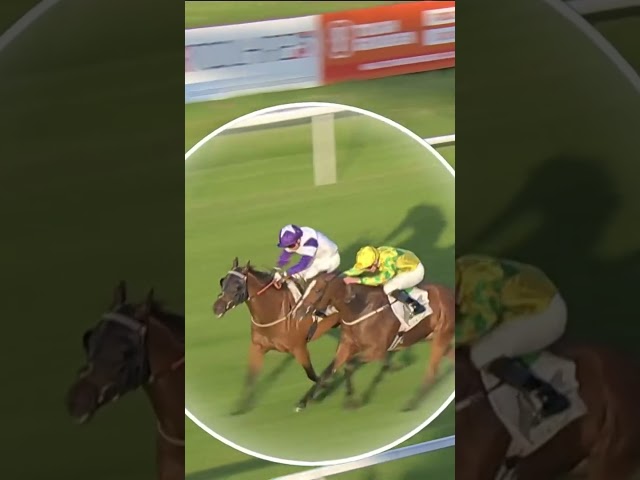 Thumbnail for Post ID: xUV5GXeCOFU