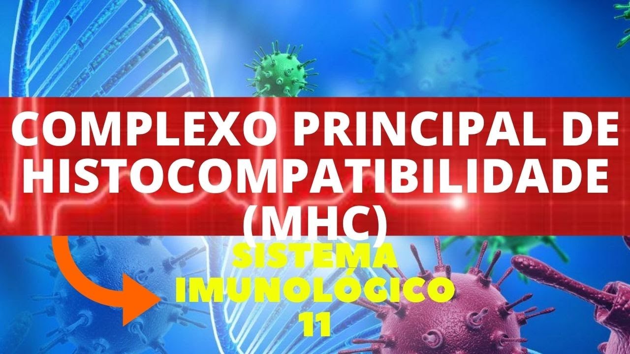 COMPLEXO PRINCIPAL DE HISTOCOMPATIBILIDADE (MHC) - (IMUNOLOGIA) SISTEMA IMUNOLÓGICO
