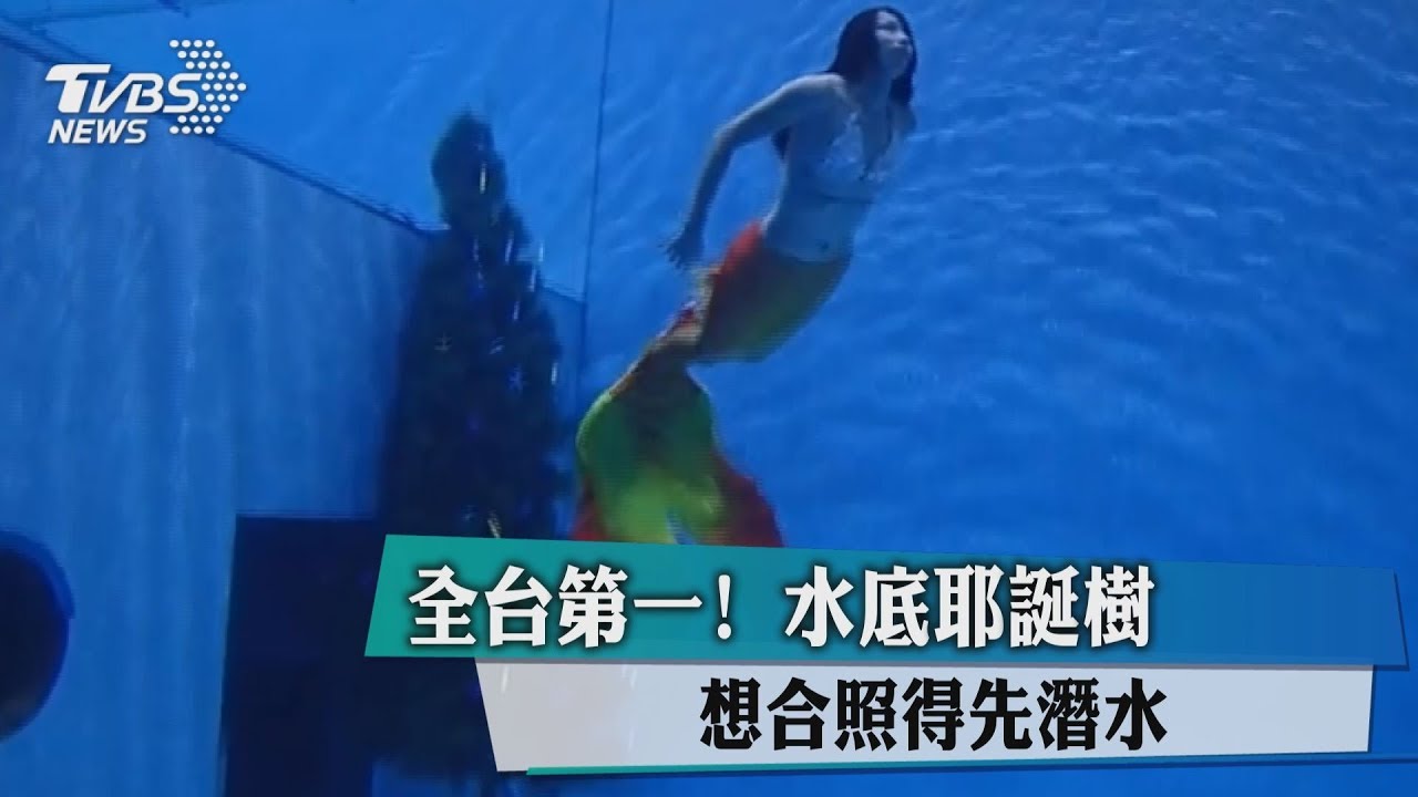 全台第一!水底耶誕樹 想合照得先潛水