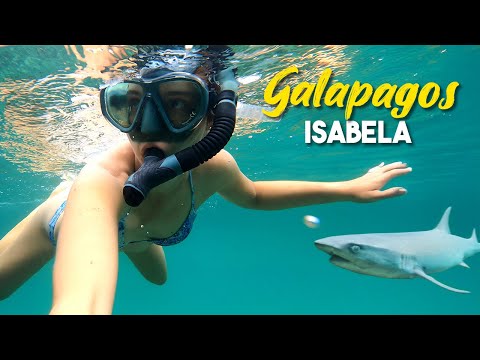 NUOTO con GLI SQUALI 😨 e finisce in lacrime 😢 Viaggio alle ISOLE GALAPAGOS