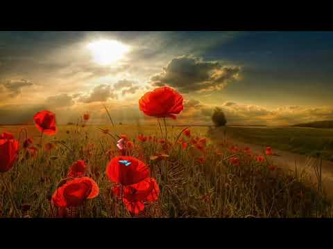 DAILY PROPHETIC UTTERANCE "TAKE BACK WHAT THE ENEMY STOLE" REV ROBERT CLANCY