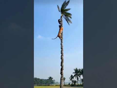 Keep playing #comedyshorts #funny