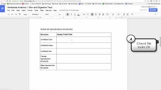 Download Google Doc as MS Word