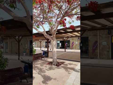 Outside El Theatro at FitFever SALSOGA '25 on June 17th