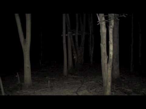 July 10, 11 2017 Powerline