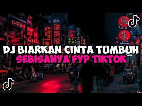 DJ BIARKAN CINTA TUMBUH SEBISANYA || DJ KARENA SU SAYANG JEDAG JEDUG MENGKANE VIRAL TIKTOK
