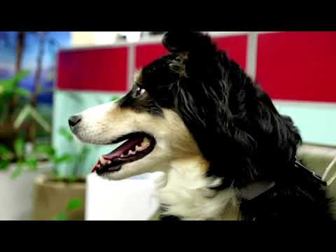 什麼是好消息？本週好消息綜述 (What's Good? A roundup of this week's good news)