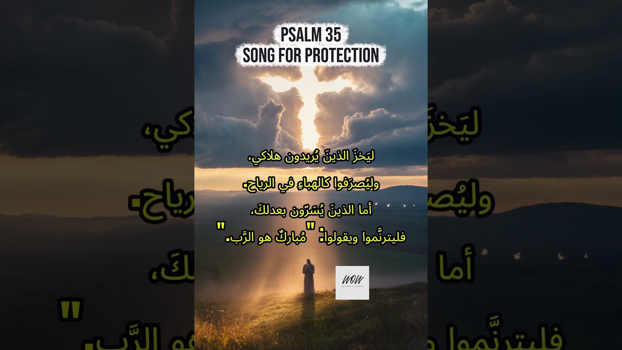 فيديو تفسير الكتاب المقدس | الكتاب المقدس رفيقي