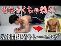【5分で効きすぎ】継続すれば確実に体が変わる筋トレ