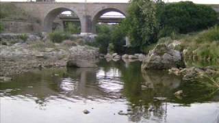 Mártires Del Compás - Laz Violeta