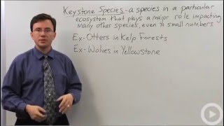 Keystone Species