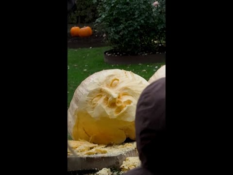 Artist creates monsters from giant pumpkins