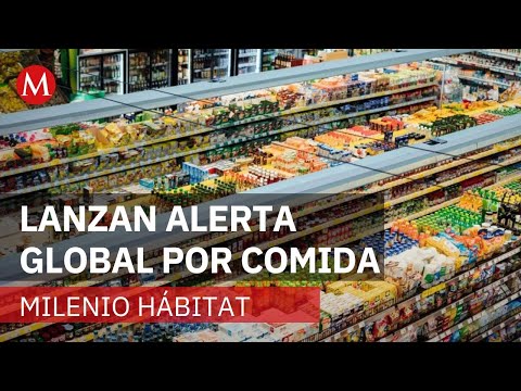 Global food production puts the planet at risk | Milenio Hábitat
