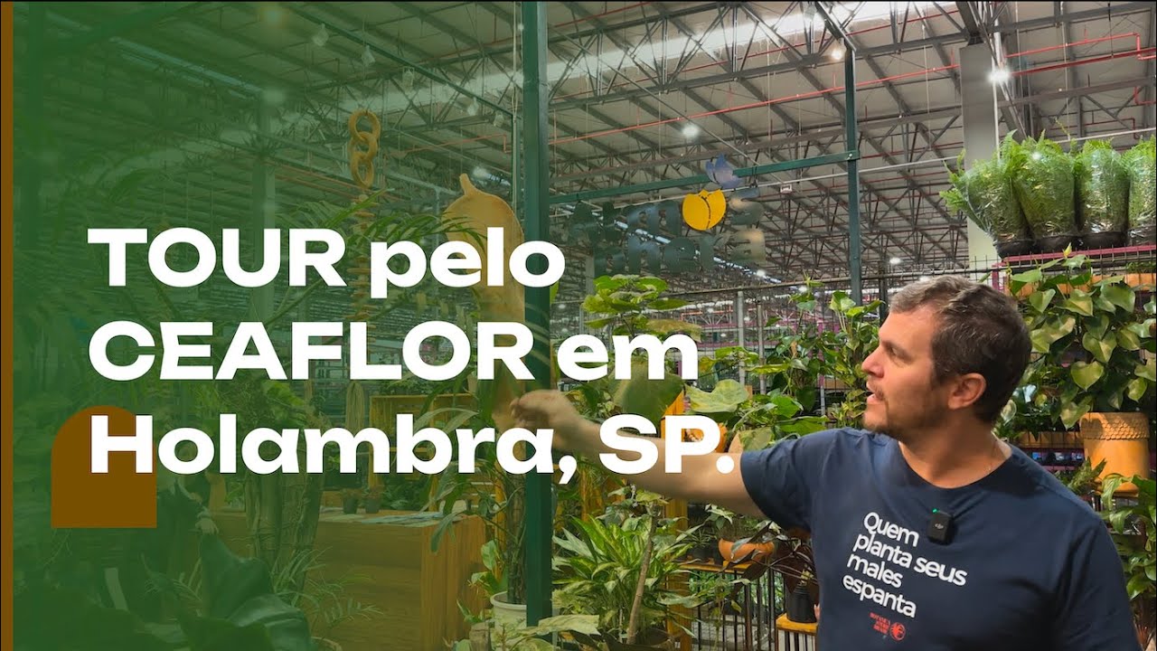 HOLAMBRA e CEAFLOR: um TOUR pelo CEAFLOR, um mundo de plantas.