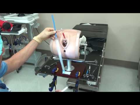 Miya Model - Retropubic Sling Simulation