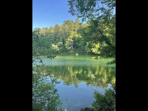 1babysiahh 🖼️soul🖼️p.kap🖼️