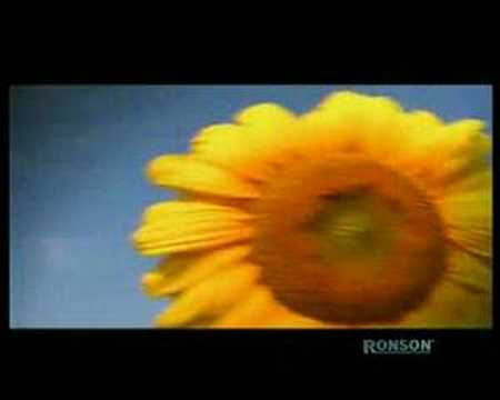 Pips, Chips & Videoclips - Porculan