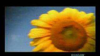 Music video thumbnail preview for Pips, Chips \u0026 Videoclips - Porculan by Pips, Chips & Videoclips
