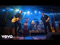 Cardinal Black Morning Light Live