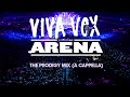 The Prodigy Mix (a cappella) - Viva Vox ARENA 2015 ...