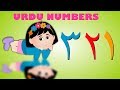 Counting Numbers Song | Ginti in Urdu and More | اردو اعداد | Nursery Rhymes Collection for Kids