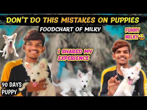 BEST HOMEMADE FOODS FOR PUPPY | நல்ல சாப்பாடு | Don't give this FOODS IN 90 DAYS😨😨 MILKY SPECIAL