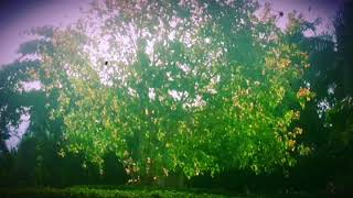 Prayers That Flutter Like A thousand Butterflies!