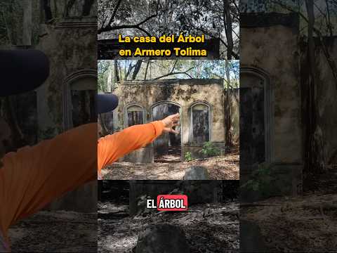👀👇 Armero, Tolima 🇨🇴#Armero #Tolima #CasaEnElÁrbol #TurismoColombia #ExperimentoNomada