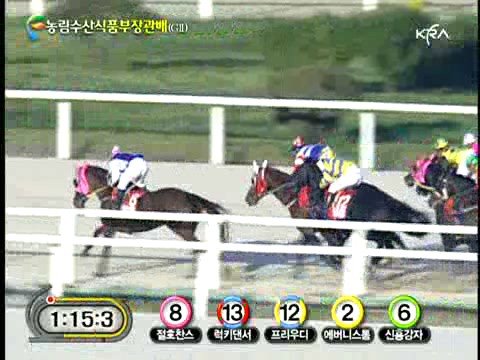 2008 The Minister of FAFF Cup (G2) (10.12, 10f)