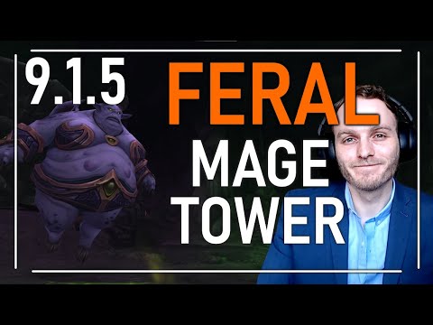 NEW FERAL MAGE TOWER GUIDE - WOW SHADOWLANDS PATCH 9.1.5