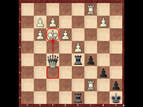 Chess for Kids in Dominicana #558