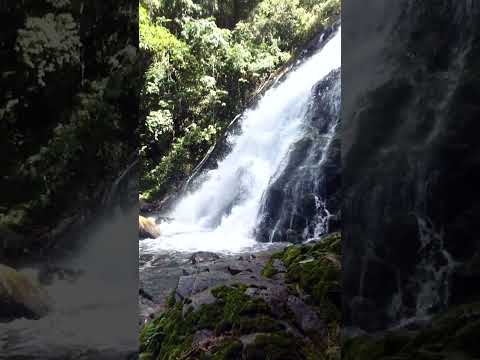 Cachoeira Da Figueira (Salto Maior) Doutor Ulysses, PR - Parte 2